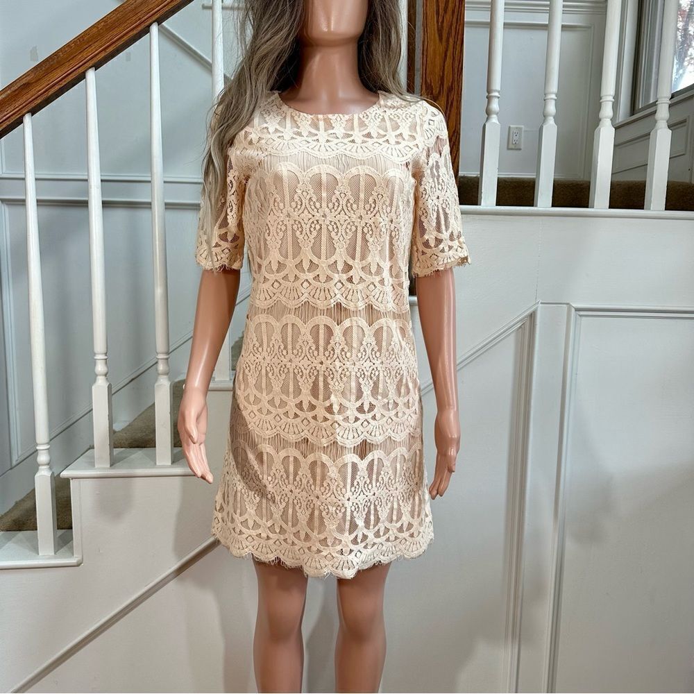 BCBGeneration apricot blush lace dress